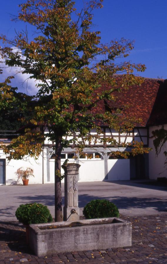 Markgraeflich Badischer Gasthof Schwanen Salem  Zewnętrze zdjęcie